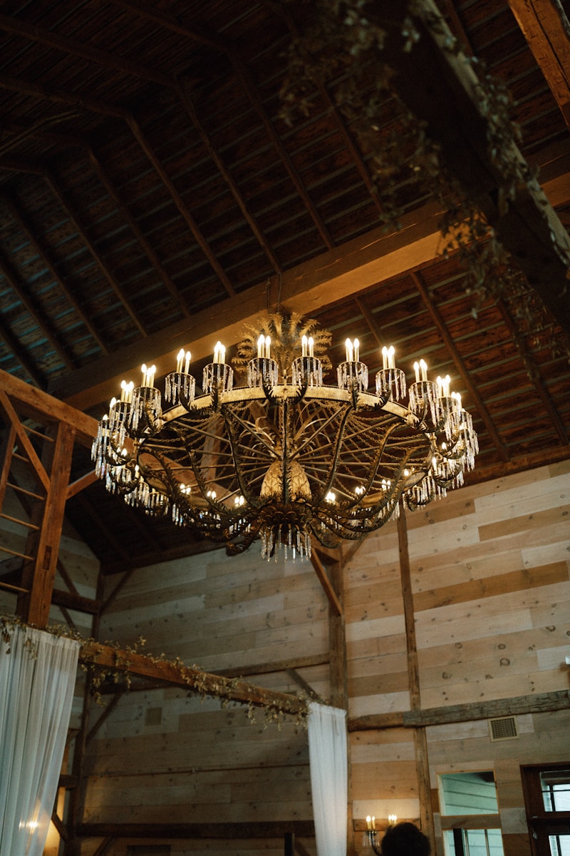 The Charm of Natural Wood in Lighting Fixtures