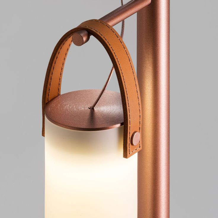 lamp supplier：Exploring the Beauty of South African Animal Leather Artistic Table Lamps